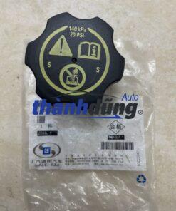 NẮP BÌNH NƯỚC PHỤ CHEVROLET CRUZE 2009