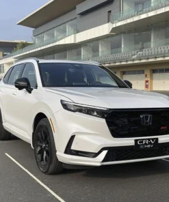 Cao su đầu càng Honda CR-V 2013-2014