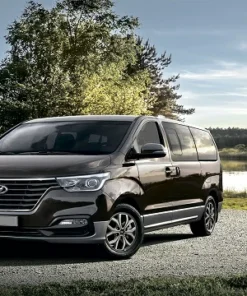 Cửa hậu Hyundai Grand Starex 2008-2013