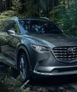 Bugi Mazda CX-9 2012-2016