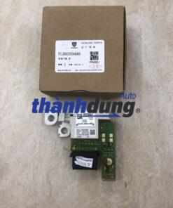 CẦU CHÌ ẮC QUY PEUGEOT 308 2012 | 28236841