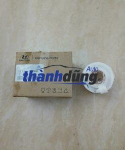 LỌC XĂNG HYUNDAI ACCENT 2011-2021 | 311121R000