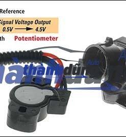 CẢM BIẾN BƯỚM GA XE HYUNDAI GETZ 2006 | 3517022600 - Ảnh 4