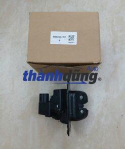 Ổ NGẬM CỐP HẬU RENAULT KOLEOS 2008 | 905923361R