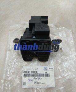 Ổ NGẬM CỐP HẬU KIA SORENTO 2010 | 812301H300
