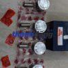 PISTON XE HAIMA 2 2015 | SP100100017