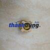 NẮP BÌNH NƯỚC PHỤ FIAT SIENA 2001 | 60665757